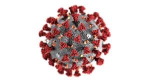 Coronavirus - Credit: niros.info