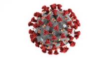 Coronavirus - Credit: niros.info
